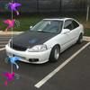 nelsonrodrig645